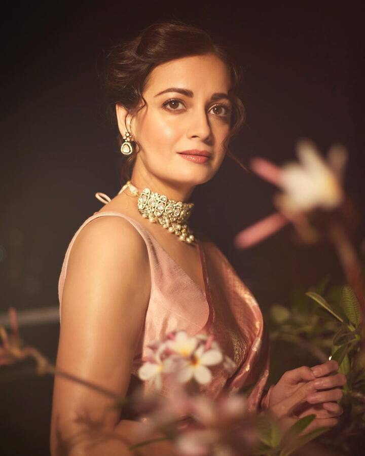 दियाला तिच्या उत्कृष्ट अभिनयाच्या जोरावर विशेष ओळख मिळाली आहे.(फोटो सौजन्य: diamirzaofficial/इंस्टाग्राम)