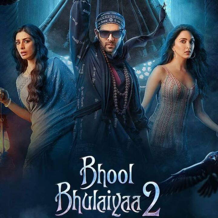 एक्टर कार्तिक आर्यन की भूल भुलैया 2 यूं तो इस साल की सुपरहिट फिल्म रही, लेकिन 'दृश्यम 2' की तुलना में ये फिल्म पहले दो दिन में 27 करोड़ का कलेक्शन किया.
