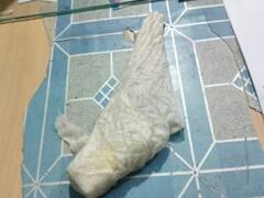 भिंड: दबंगई दिखाने के लिए सरपंच ने कट्टे से काटा बर्थडे केक, फेसबुक लाइव भी किया, फिर हुए अरेस्ट