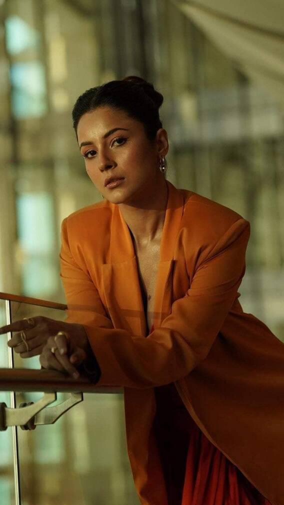 शहनाज गिल का हॉट लुक, नजरें नहीं हटाएंगे... शहनाज गिल का हॉट लुक, नजरें नहीं हटाएंगे...