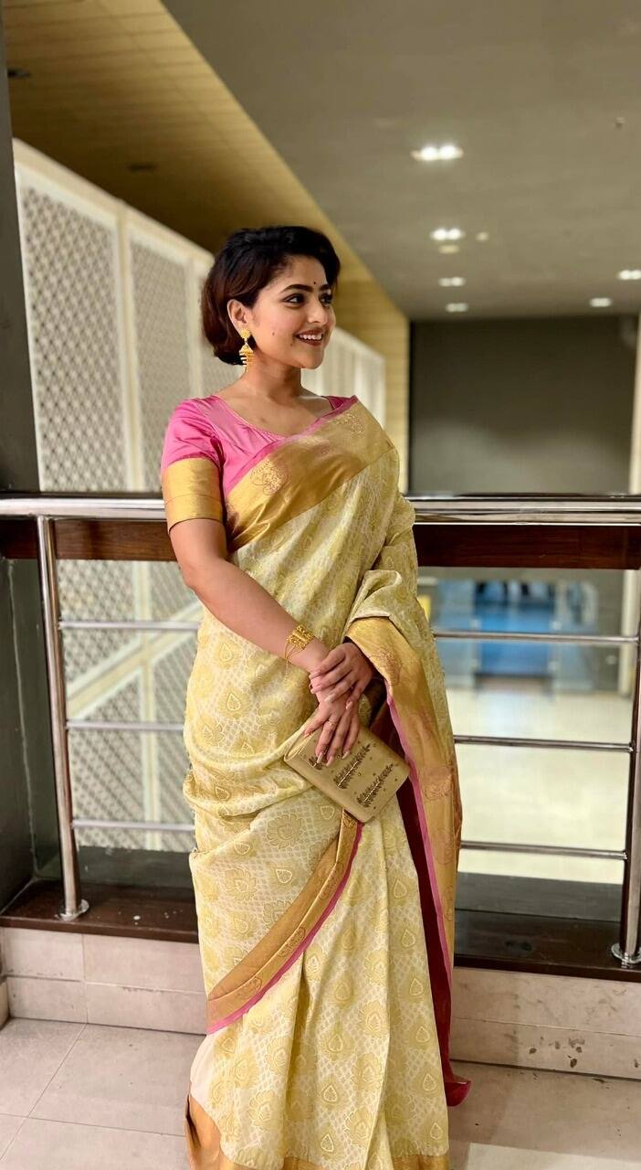 'ঝুমুর' ছাড়াও একাধিক ধারাবাহিকে দেখা গিয়েছে ঐন্দ্রিলাকে। অভিনয় করেছেন বেশ কিছু ওয়েব সিরিজেও।