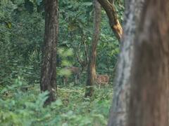 Tejashwi Yadav VTR Images: वीटीआर ने तेजस्वी यादव का मोह लिया मन, तस्वीरों में दिखाया ये खूबसूरत नजारा