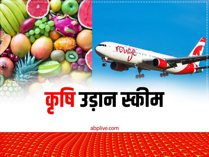 PM Kisan Udaan Yojana: अब फ्लाइट से ट्रांसपोर्ट करें जल्दी खराब होने वाले फल, सब्जी, डेयरी उत्पाद... नहीं लगेगा कोई चार्ज PM Kisan Udaan scheme Provide air transportation of Short duration agricultural products PM Kisan Udaan Yojana: अब फ्लाइट से ट्रांसपोर्ट करें जल्दी खराब होने वाले फल, सब्जी, डेयरी उत्पाद... नहीं लगेगा कोई चार्ज