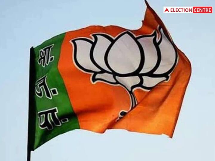 Delhi MCD Election 2022 BJP Trust on Pasmanda Muslims Know what is the Strategy for Polls ANN Delhi MCD Election 2022: एमसीडी चुनाव में बीजेपी का पसमांदा मुसलमानों पर भरोसा, जानें क्या है नई रणनीति