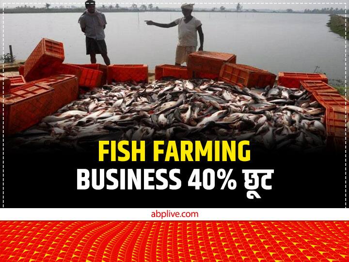 Punjab Government Provide upto 40% subsidy for Fish Farming to the farmers Subsidy Offer: किसानों के लिए सुनहरा मौका! खेती के साथ मछली पालन करके बढ़ाएं अपनी कमाई, सरकार देगी 40% पैसा