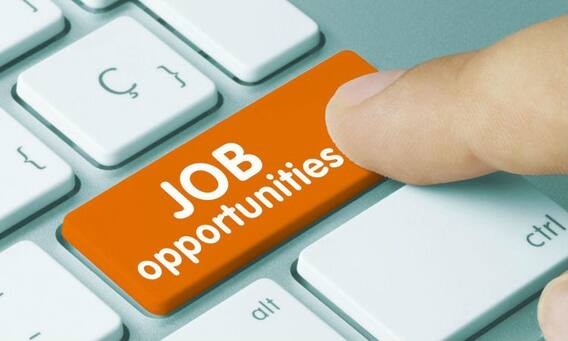 Job : इंटरव्यू देने जा रहे हैं तो आपके Resume में होनी चाहिए 'ये' बातें; मान लीजिए कि आपका चयन हो गया है Job : इंटरव्यू देने जा रहे हैं तो आपके Resume में होनी चाहिए 'ये' बातें; मान लीजिए कि आपका चयन हो गया है