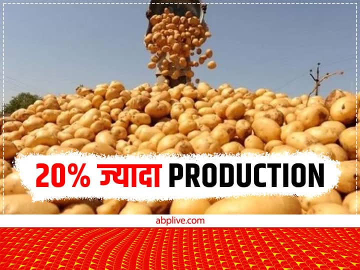 Potato Production Increased by 20% by applying Aeroponic farming Technique Potato Farming: ध्यान दें किसान...20% तक बढ़ जाएगी आलू की पैदावार, खेती के लिए अपनाएं ये खास तरीका