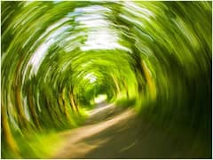 తరచూ కళ్లు తిరుగుతున్నాయా? అకస్మాత్తుగా రక్తంలో చక్కెర స్థాయిలు తగ్గుతున్నాయేమో?