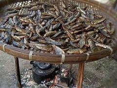 Bastar News: बस्तरिया डिशेज के लाखों हैं दीवाने, ठंड के मौसम में रहती है इन लोकल व्यंजनों की डिमांड, यहां- देखें तस्वीरें