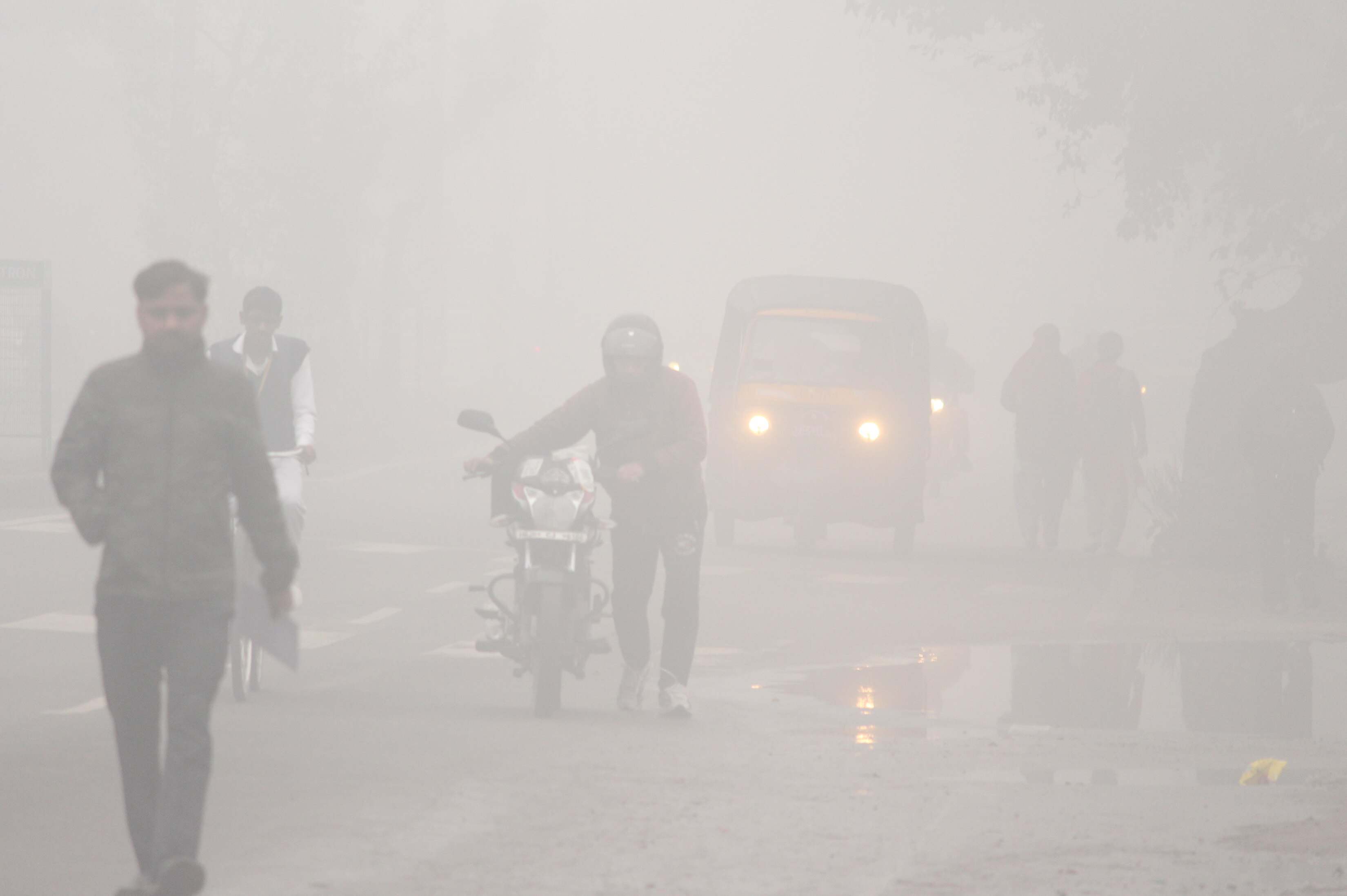 Mausam Ka Haal: कश्मीर से लेकर दिल्ली और UP-MP तक अगले तीन दिन शीतलहर के कारण होगा सर्दी का टॉर्चर, घने कोहरे ने बढ़ाई दुर्घटना