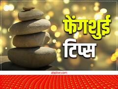 Fengshui Tips: घर में हो फिश एक्वेरियम तो टल जाती हैं मुश्किलें, रखने से पहले जान लें ये नियम