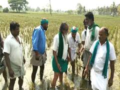 அரசுகள் தேர்தலுக்குப்பின் விவசாயிகளை அடிமைகளாக கருதுவது வேதனை அளிக்கிறது - அய்யாக்கண்ணு