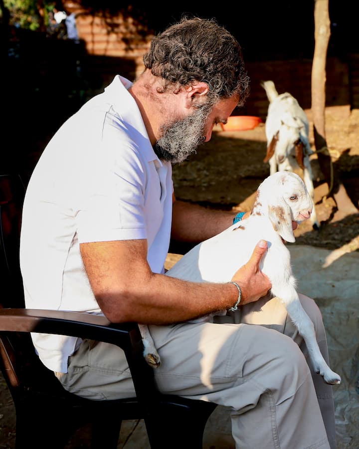 ১৫০ দিনে ১২টি রাজ্য পরিক্রমা করে জম্মু কাশ্মীরে শেষ হবে কংগ্রেসের এই পদযাত্রা। সব ছবি: পিটিআই এবং কংগ্রেসের ট্যুইটার হ্যান্ডেল