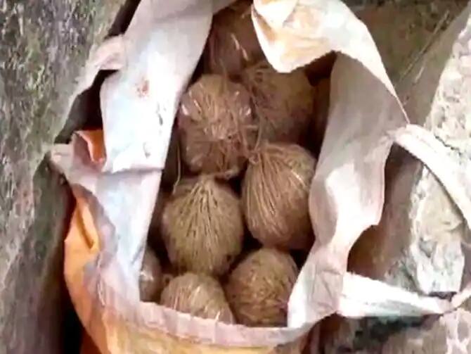 Live Bombs Found On West Bengal Chisurah School Premises Crude Bombs Found On West Bengal School Premises
