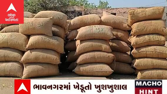 Bhavnagarમાં મગફળી, કપાસની આવકથી ખેડૂતોને થઈ સારી કમાણી