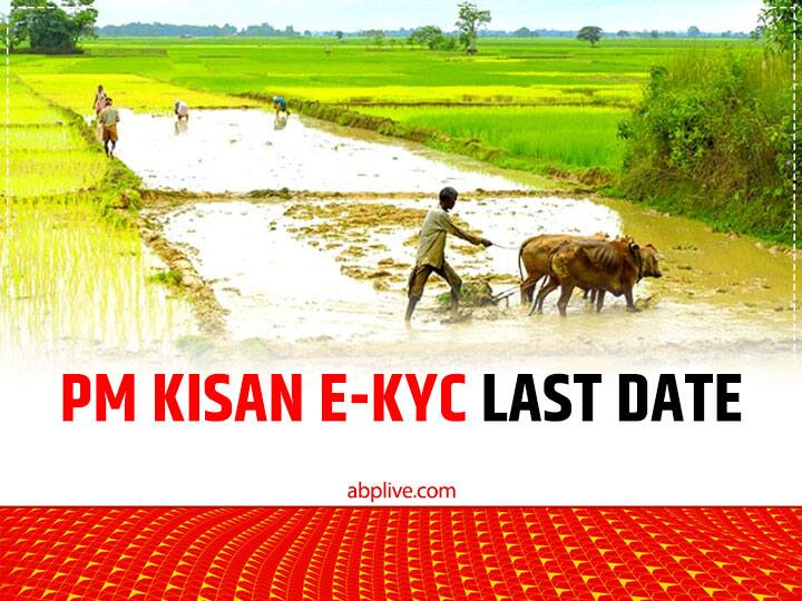 E KYC Aadhaar Seeding Mandatory for Pradhan Mantri Kisan Samman Nidhi Yojana Beneficiary Farmers PM Kisan Yojana: बिना E-kyc नहीं ले पाएंगे 13वीं किस्त, इस काम के बाद ही खाते में पहुंचेंगे 2,000 रुपये! ये है लेटेस्ट अपडेट