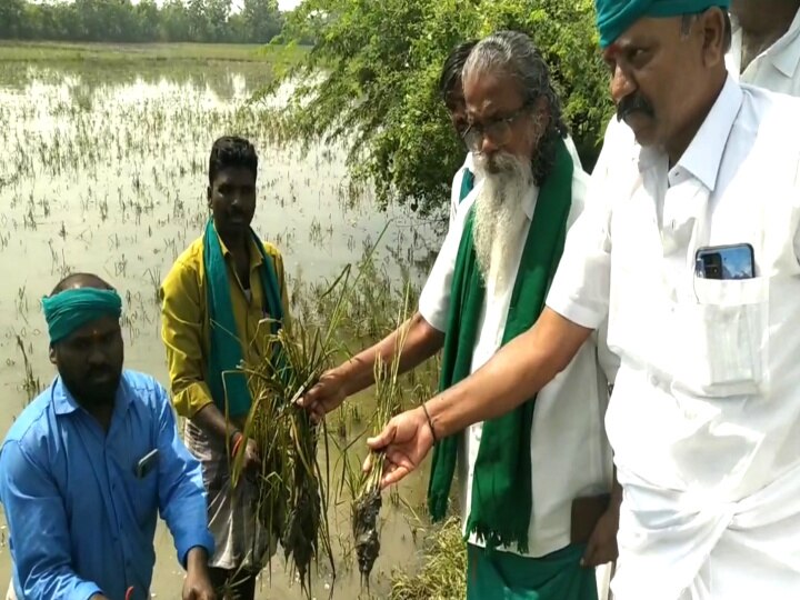 அரசுகள்  தேர்தலுக்குப்பின் விவசாயிகளை அடிமைகளாக கருதுவது வேதனை அளிக்கிறது - அய்யாக்கண்ணு