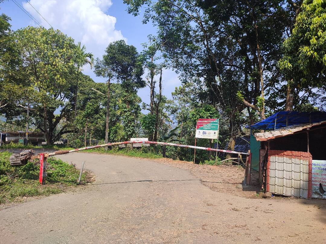 தொடர்ச்சியாக அச்சம்.. மிரட்டும் காட்டு யானை ; வால்பாறை - சாலக்குடி சாலையில் போக்குவரத்துக்கு தடை