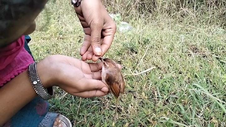 அரூர் அருகே 800 ஆண்டுகள் பழமையான சிவன் கோயில் கும்பாபிஷேக விழா - குவிந்த பக்தர்கள்