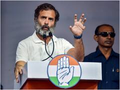 Rahul Gandhi Now Looks Like Saddam Hussain, Says Himanta Sarma. Congress Calls Him 'Petty Troll'