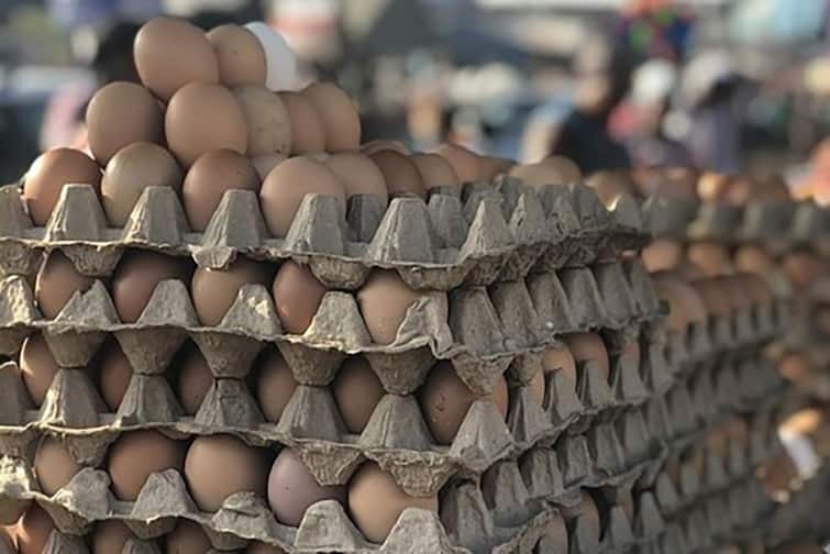 india exports 1.50 crore eggs exported to qatar ahead of fifa worldcup 2022 FIFA India : நாமக்கல்லில் இருந்து கத்தாருக்கு கோடிக்கணக்கில் ஏற்றுமதியாகும் முட்டைகள்.. பீருக்காக குரல் கொடுத்த ரசிகர்கள்