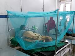 हरिद्वार में तेजी से बढ़ रहा है डेंगू का कहर, 285 केस पॉजिटिव, स्वास्थ्य विभाग कर रहा ये अपील