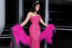 Urvashi Rautela : हिरेजडीत मुकुट आणि पिंक गाऊन... विश्व सुंदरी उर्वशी रौतेलाचा प्रिंसेस लूक