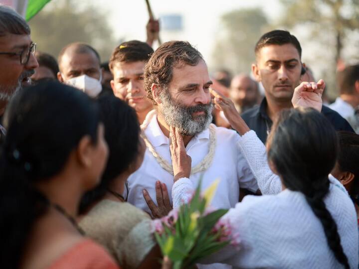 Rahul Gandhi: বলিউডের একাধিক মুখকে দেখা গিয়েছে ভারত জোড়ো যাত্রায়