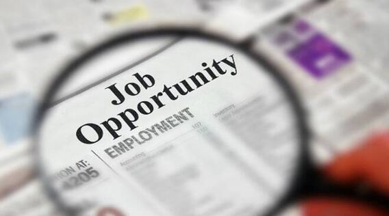 Job : इंटरव्यू देने जा रहे हैं तो आपके Resume में होनी चाहिए 'ये' बातें; मान लीजिए कि आपका चयन हो गया है Job : इंटरव्यू देने जा रहे हैं तो आपके Resume में होनी चाहिए 'ये' बातें; मान लीजिए कि आपका चयन हो गया है