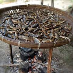 Bastar News: बस्तरिया डिशेज के लाखों हैं दीवाने, ठंड के मौसम में रहती है इन लोकल व्यंजनों की डिमांड, यहां- देखें तस्वीरें