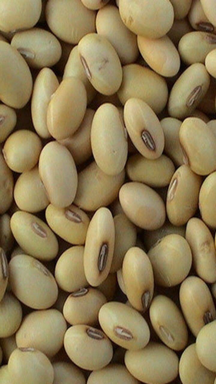 தைராய்டுக்கு சிகிச்சை எடுத்துக் கொண்டிருக்கும் போது சோயா மற்றும் சோயா பால் சாப்பிடக்கூடாது