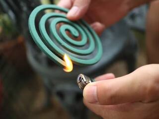 Mosquito Coil: મચ્છર મારવા કરો છો કોઈલનો ઉપયોગ,  તો સાવધાન થઇ શકે છે ગંભીર બીમારી