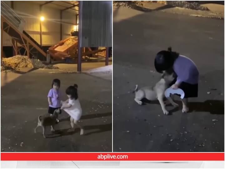 baby girl is seen biting the dog ear Video: बड़ी बहन को डॉगी कर रहा था तंग, छोटी बहन ने ऐसे सीखाया सबक