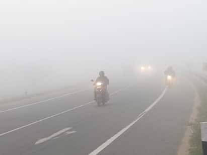 Normal life affected due to heavy snowfall in Coimbatore TNN கோவையில் கடும் பனிப்பொழிவு, உதகையில் உறைப்பனி - இயல்பு வாழ்க்கை பாதிப்பு