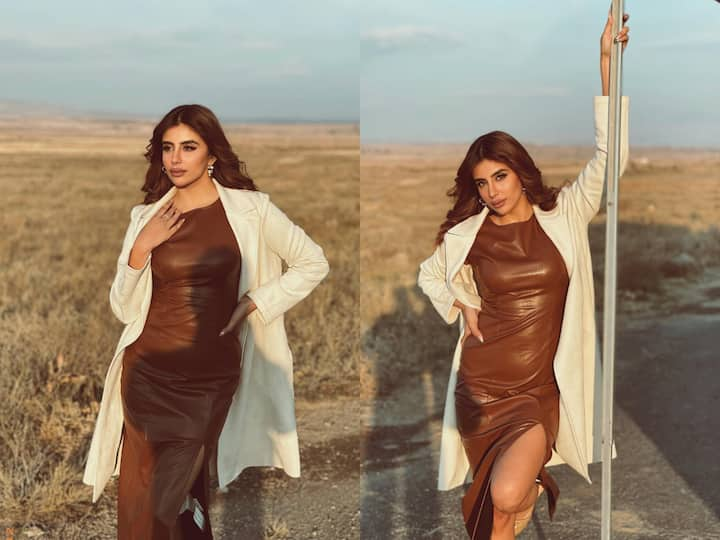 Bigg Boss 15 fame Miesha Iyer is in Armenia for a music video shoot. the actress-model shared pictures in a brown leather dress. Check out