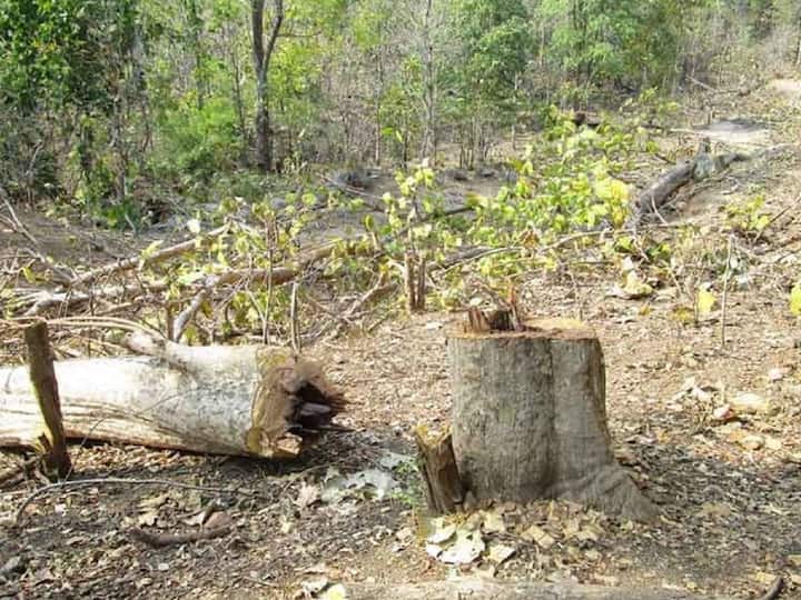 Podu lands Issue in Telangana explained Forest office dies in Bhadradri district DNN Podu Lands Issue: పోడు భూముల వివాదానికి చెక్‌ పడేనా? ఇరువర్గాల పోరులో ఫారెస్ట్‌ ఆఫీసర్ బలి