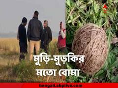 ৫ দিনে ৩ বার, দক্ষিণ ২৪ পরগনার কুলপির গ্রামে ফের বোমার হদিশ