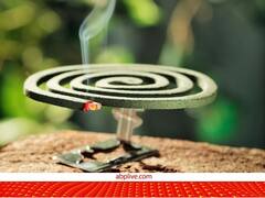 Mosquito Coil: मच्छर मारने के लिए करते हैं कॉइल का इस्तेमाल तो संभल जाएं, कई बीमारियों का है कारण