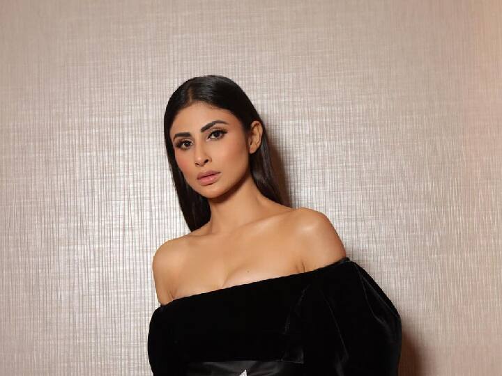 यानंतर मौनी रॉय रोमियो, अकबर वॉल्टर, मेड इन चायना आणि ब्रह्मास्त्र यांसारख्या चित्रपटांमध्ये दिसली.