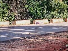 असम पुलिस की फायरिंग में मेघालय के 5 लोगों की मौत, 7 जिलों में इंटरनेट सर्विस सस्पेंड