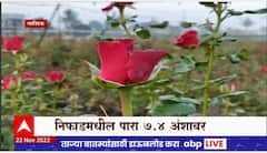 Nashik : Rose Plants : नाशिकमधील तापमानाचा पारा आणखी घसरला, गुलाबावर काळे डाग पडण्याची शक्यता
