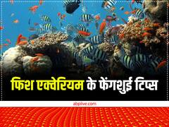 Feng Shui Tips for Aquarium: घर के एक्वेरियम में कितनी मछली होनी चाहिए? जान लें ये नियम