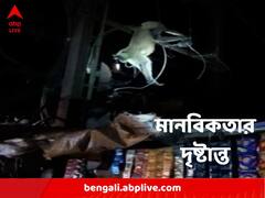 পথকুকুরের তাড়া খেয়ে বিদ্যুতের তারে, হাসপাতালে নিয়ে গিয়ে গেছোর প্রাণরক্ষা করলেন স্থানীয়রা