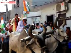 Gujarat Election 2022: સૌરાષ્ટ્રની આ હાઇ પ્રોફાઇલ સીટ પર ઉમેવારે કર્યો બળદગાડામાં પ્રચાર, જુઓ તસવીરો