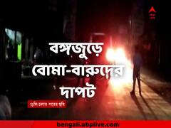 বসিরহাট থেকে বাসন্তী, কুলপি থেকে কেশপুর, পঞ্চায়েত ভোটের আগে প্রাণ-অঙ্গহানি