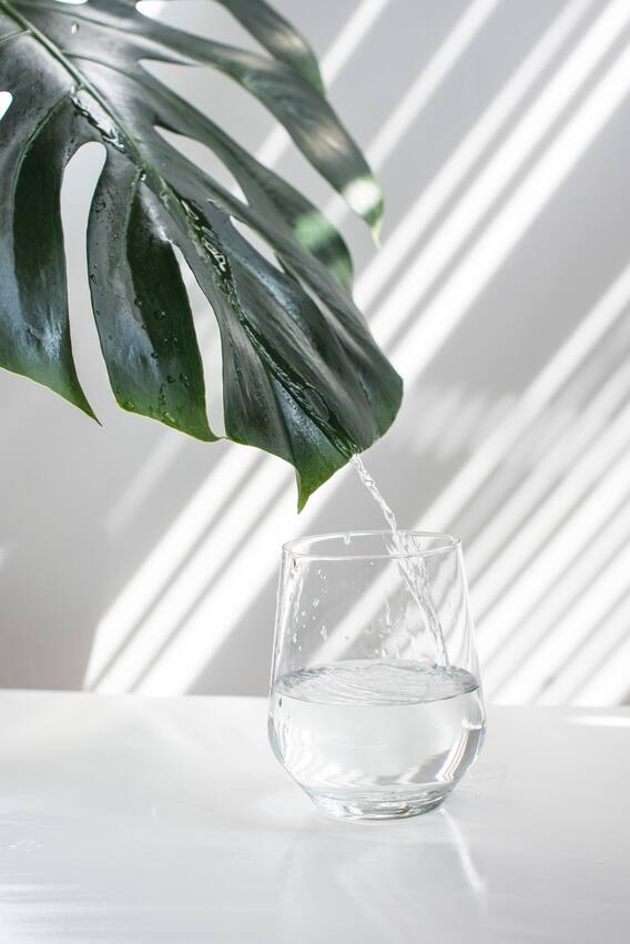 Health Tips: Water in plastic bottle is injurious to health, be careful! Health Tips: Water in plastic bottle is injurious to health, be careful!