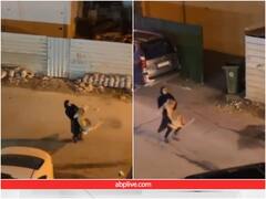 Video: दहाड़ मारती शेरनी को गोद में उठा ले गई महिला, ऐसा सीन आपने पहले शायद ही देखा होगा