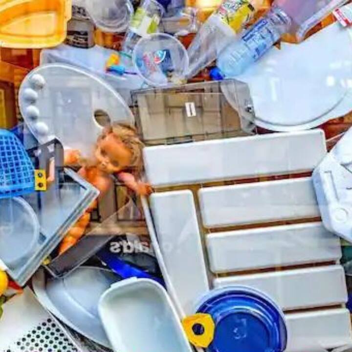 যে বাড়িতে আবর্জনা বা খারাপ জিনিস পড়ে থাকে সেখানে দেবী লক্ষ্মী বাস করেন না। যত তাড়াতাড়ি সম্ভব এটি ঘর থেকে বের করে দিন।