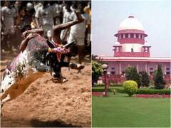 Jallikattu Case: ஜல்லிக்கட்டுக்கு எதிரான வழக்குகளை ரத்து செய்ய வேண்டும் - உச்சநீதிமன்றத்தில் தமிழ்நாடு அரசு கோரிக்கை