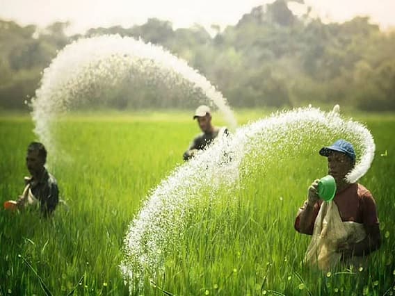 Urea and DAP Fertilizers Production will be Increased in India Fertilizer : કરોડો ખેડૂતો માટે સારા સમાચાર, મોદી સરકાર આપી શકે છે ખાતરની ભેટ